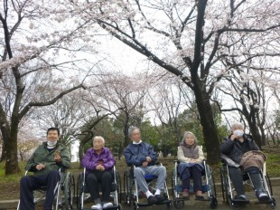 花見すみれ①