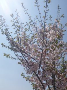 P1240040